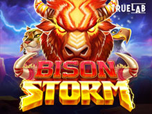 Bison Storm. 
