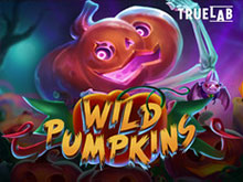 Wild Pumpkins.